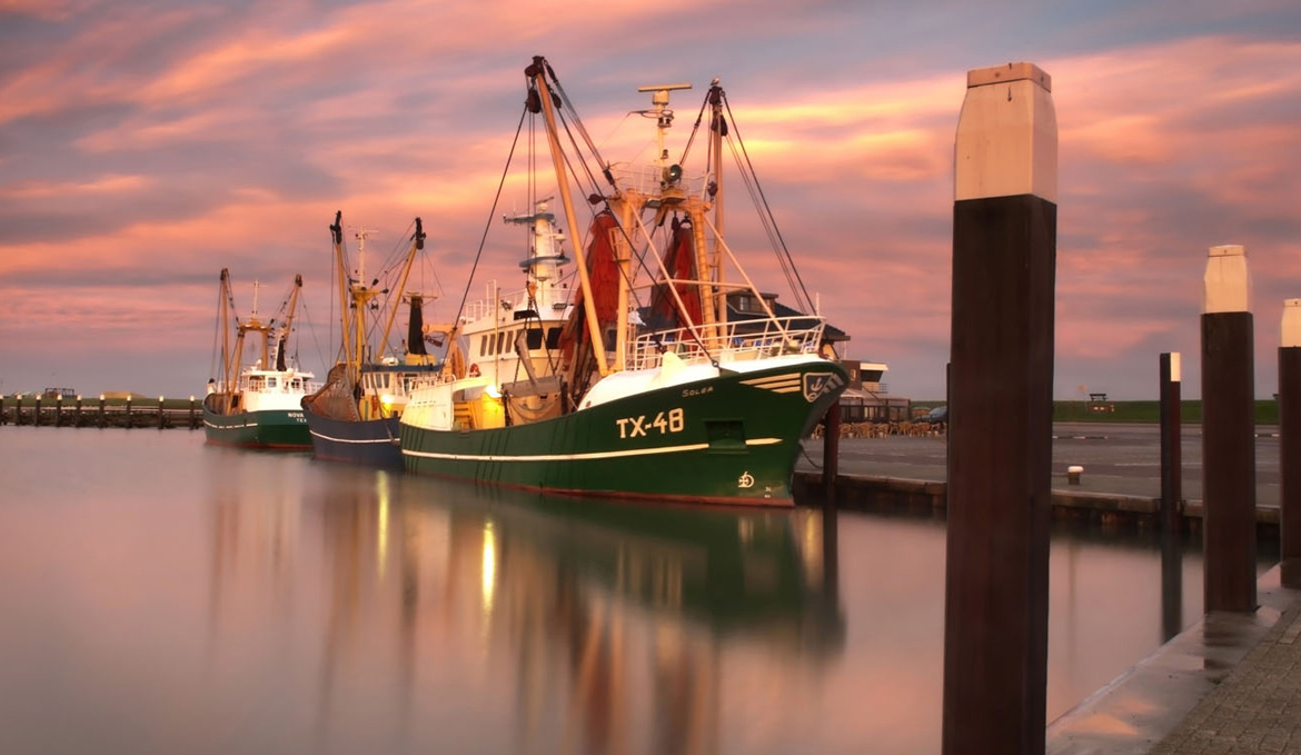 Haven Texel