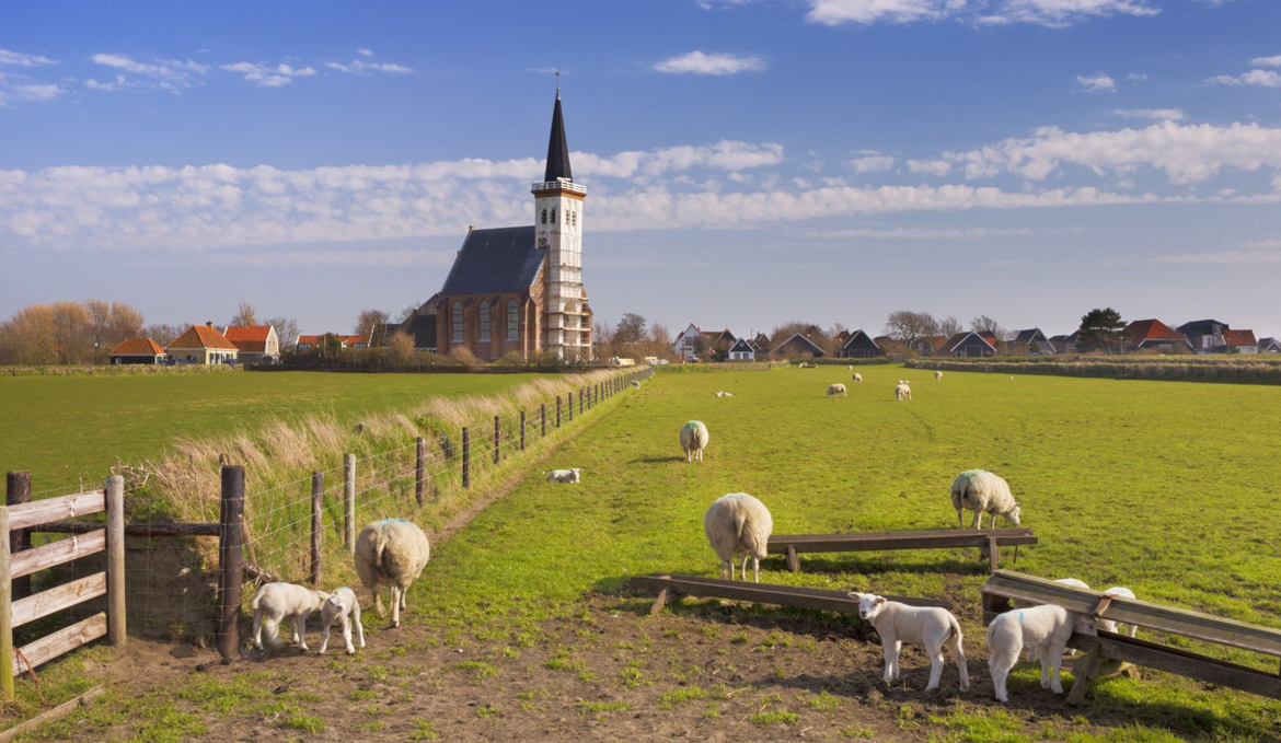 Kerk Den Hoorn Texel