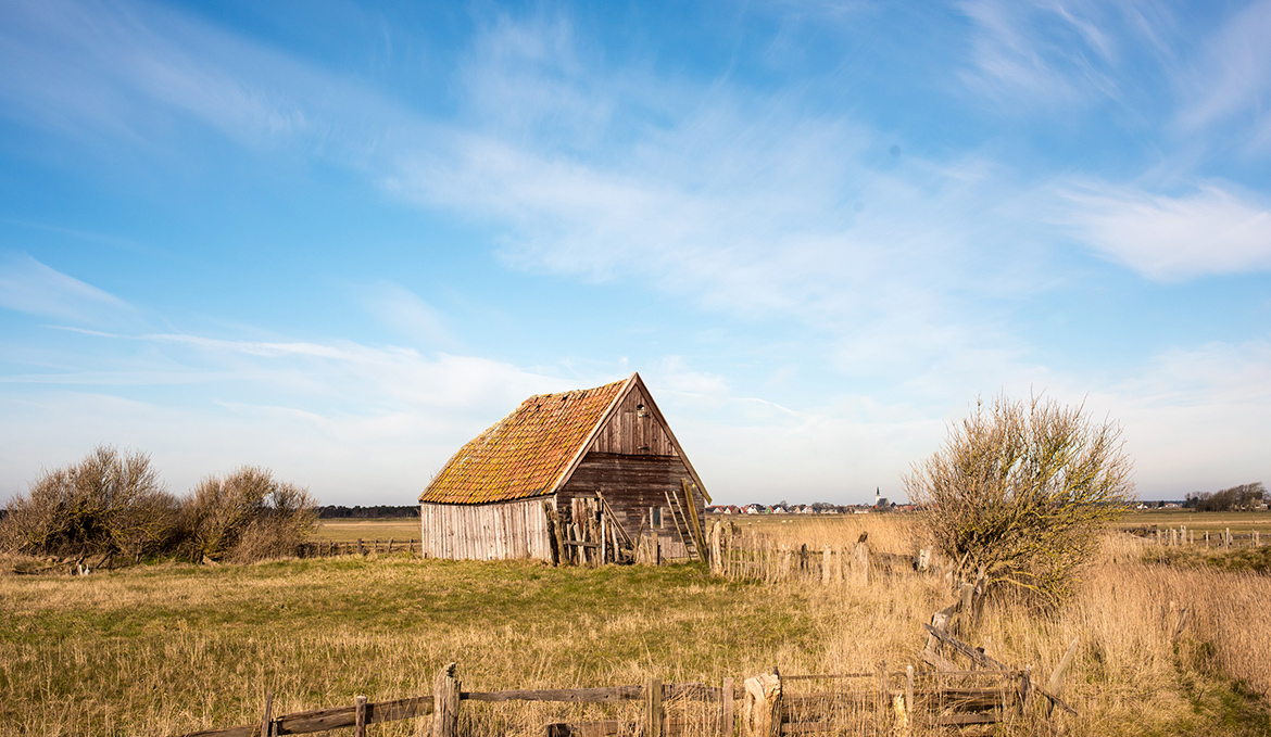 Landschap Texel